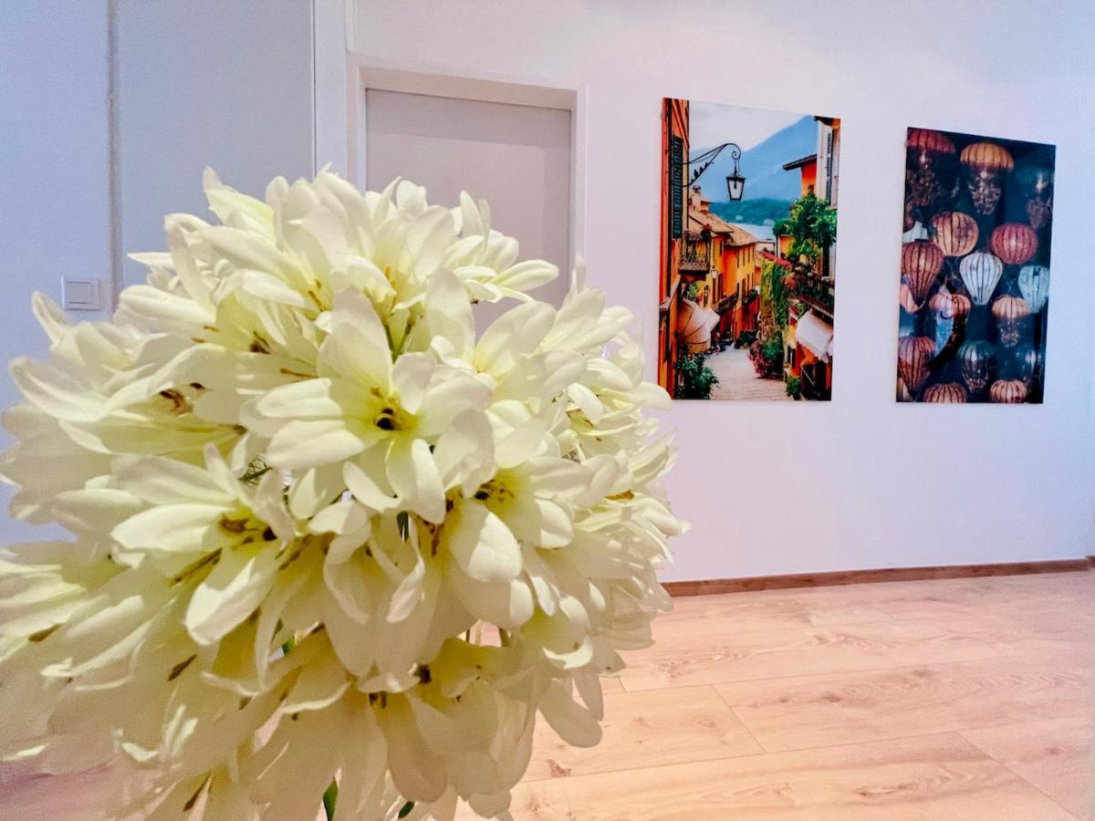 Colorful & Quiet Apartment In Beautiful Viennese Building Dış mekan fotoğraf